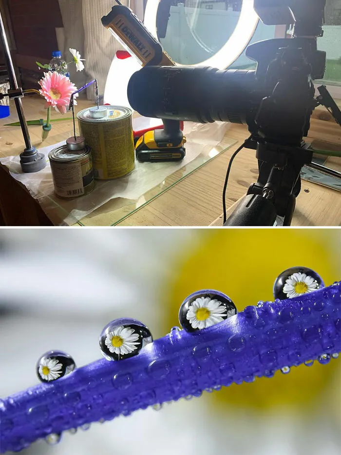 Photographer Gives A Glimpse Of How He Makes His Photos Using Water Droplet Techniques (88 Pics)
