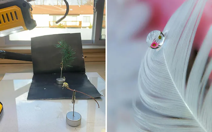 Photographer Gives A Glimpse Of How He Makes His Photos Using Water Droplet Techniques (88 Pics)