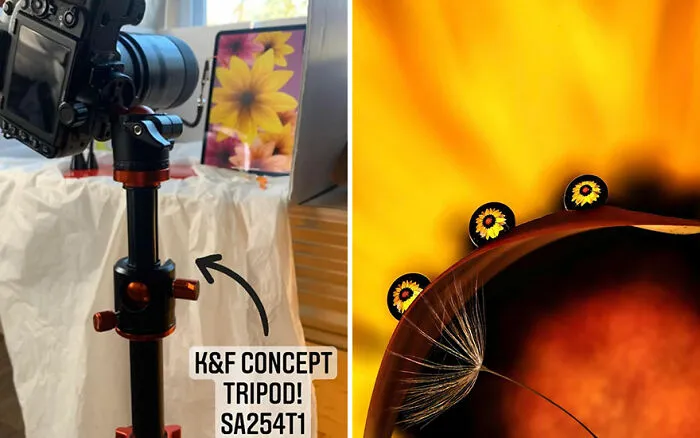 Photographer Gives A Glimpse Of How He Makes His Photos Using Water Droplet Techniques (88 Pics)