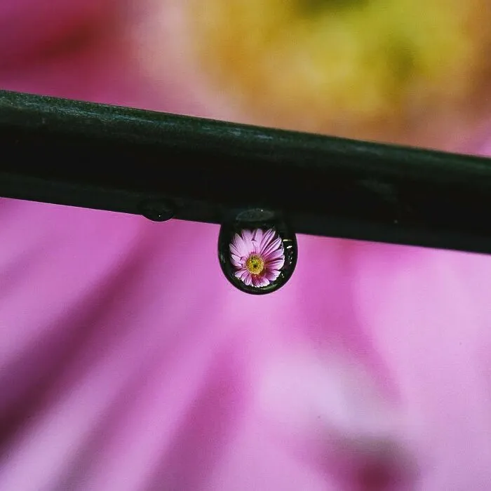 Photographer Gives A Glimpse Of How He Makes His Photos Using Water Droplet Techniques (88 Pics)