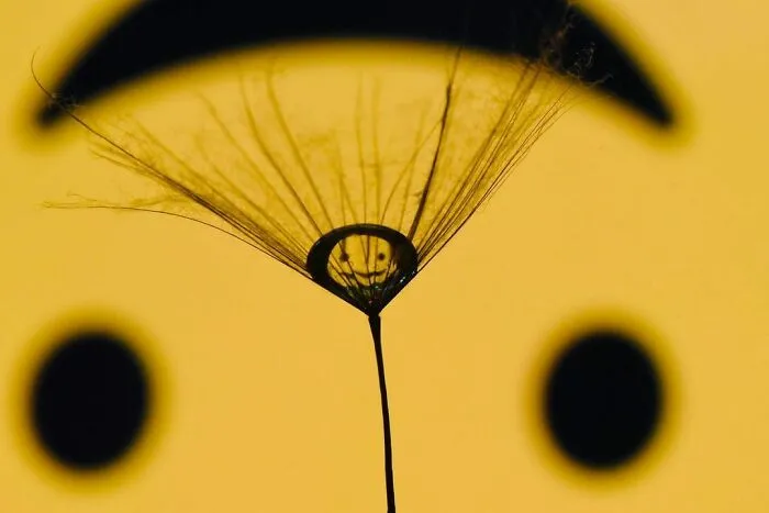 Photographer Gives A Glimpse Of How He Makes His Photos Using Water Droplet Techniques (88 Pics)