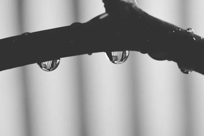 Photographer Gives A Glimpse Of How He Makes His Photos Using Water Droplet Techniques (88 Pics)