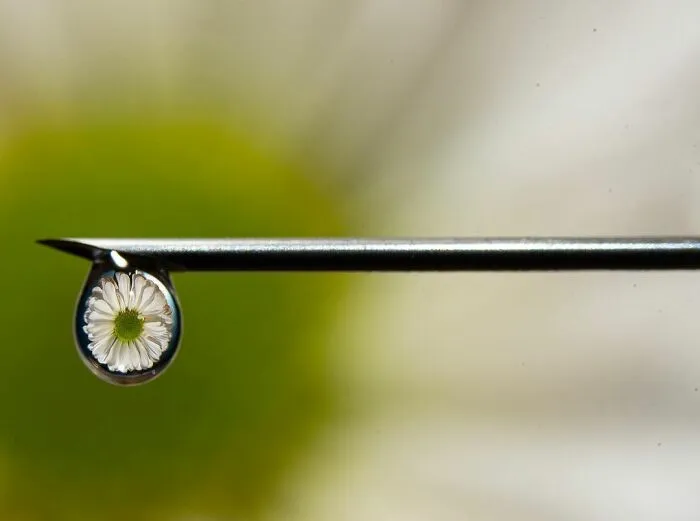 Photographer Gives A Glimpse Of How He Makes His Photos Using Water Droplet Techniques (88 Pics)