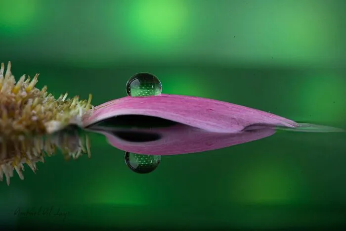 Photographer Gives A Glimpse Of How He Makes His Photos Using Water Droplet Techniques (88 Pics)
