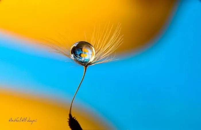 Photographer Gives A Glimpse Of How He Makes His Photos Using Water Droplet Techniques (88 Pics)