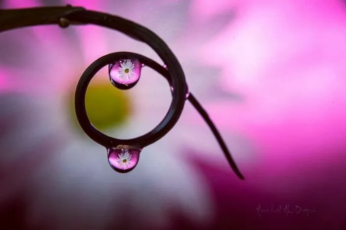 Photographer Gives A Glimpse Of How He Makes His Photos Using Water Droplet Techniques (88 Pics)