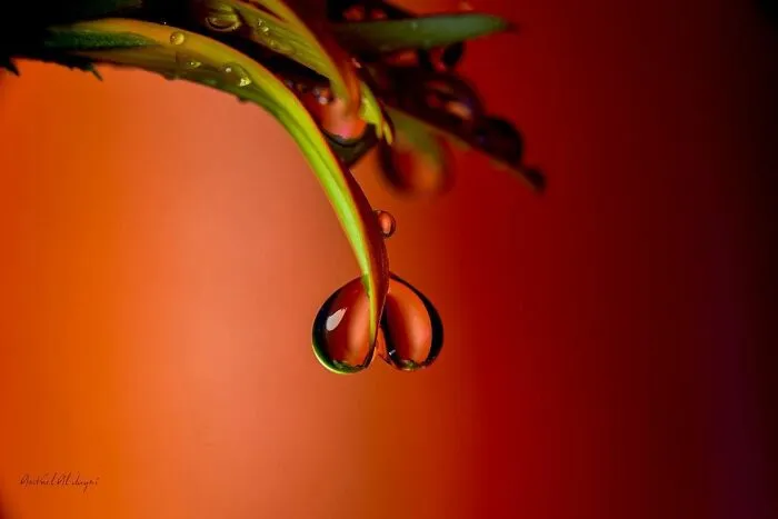 Photographer Gives A Glimpse Of How He Makes His Photos Using Water Droplet Techniques (88 Pics)