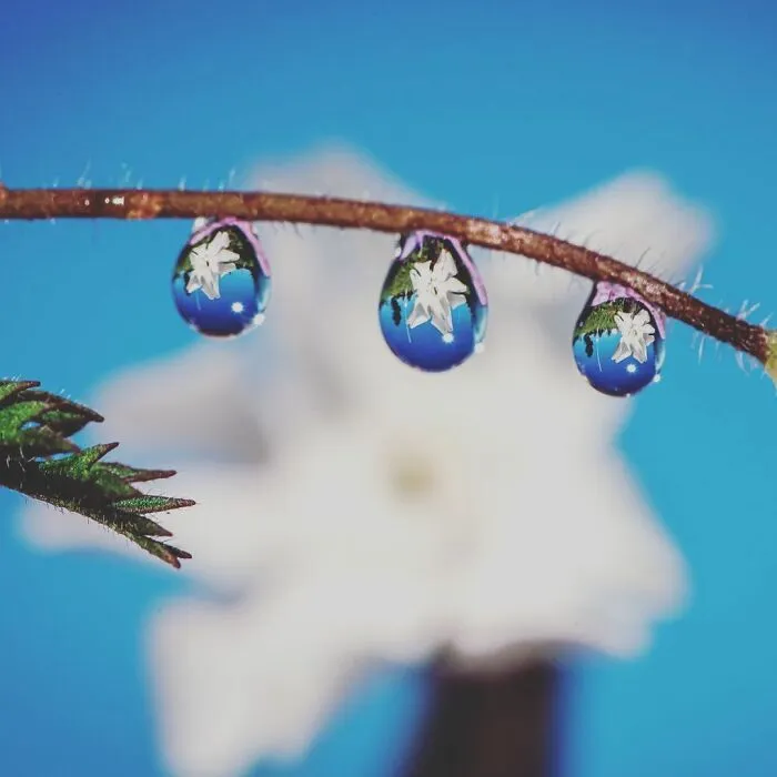 Photographer Gives A Glimpse Of How He Makes His Photos Using Water Droplet Techniques (88 Pics)