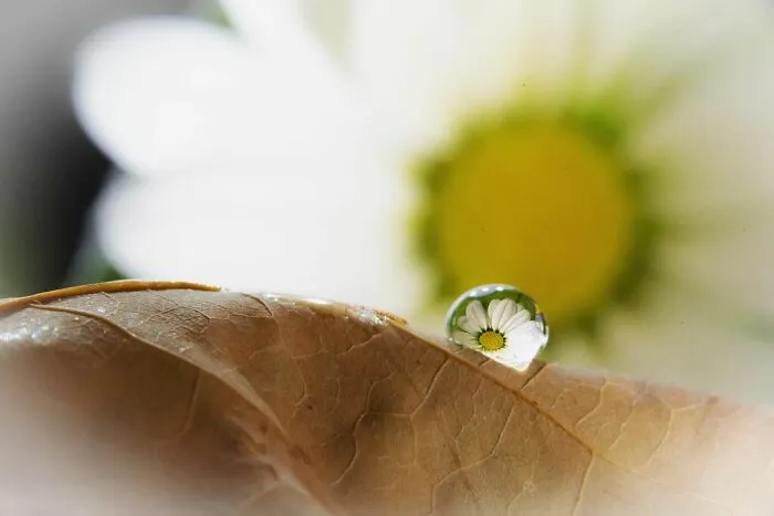 Photographer Gives A Glimpse Of How He Makes His Photos Using Water Droplet Techniques (88 Pics)