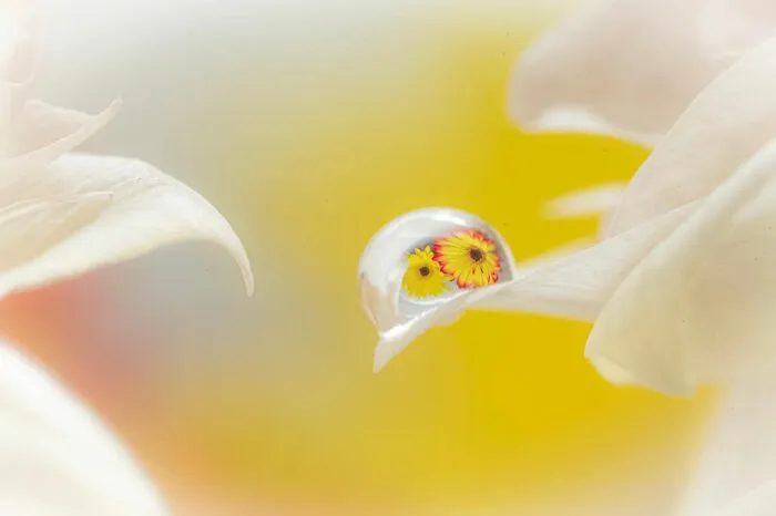 Photographer Gives A Glimpse Of How He Makes His Photos Using Water Droplet Techniques (88 Pics)