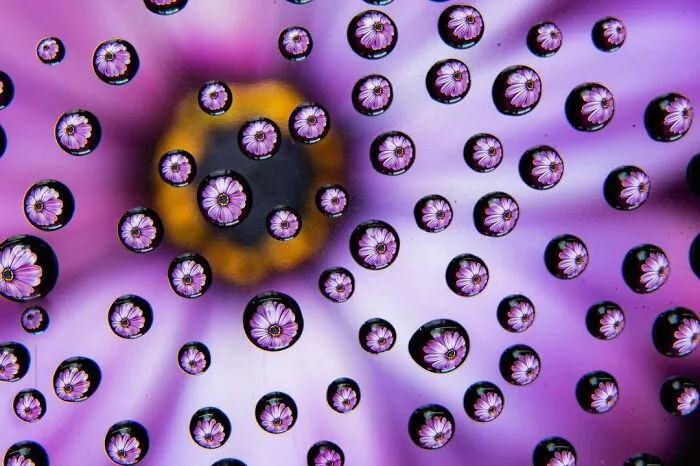 Photographer Gives A Glimpse Of How He Makes His Photos Using Water Droplet Techniques (88 Pics)