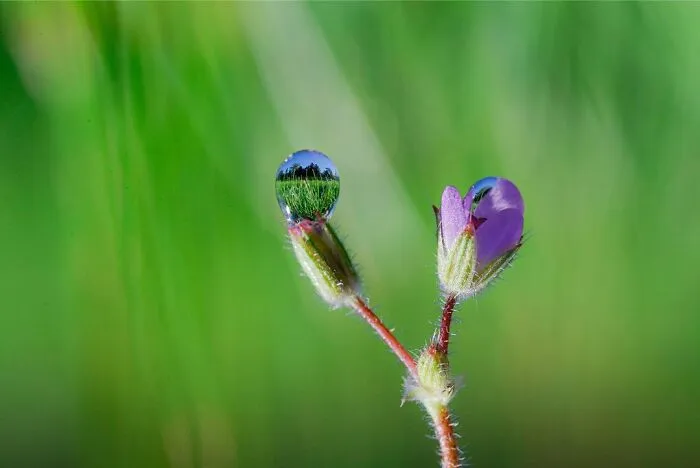 Photographer Gives A Glimpse Of How He Makes His Photos Using Water Droplet Techniques (88 Pics)