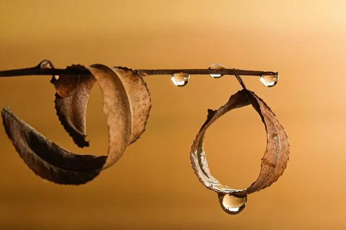 Photographer Gives A Glimpse Of How He Makes His Photos Using Water Droplet Techniques (88 Pics)