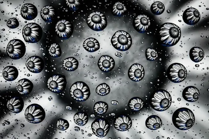 Photographer Gives A Glimpse Of How He Makes His Photos Using Water Droplet Techniques (88 Pics)
