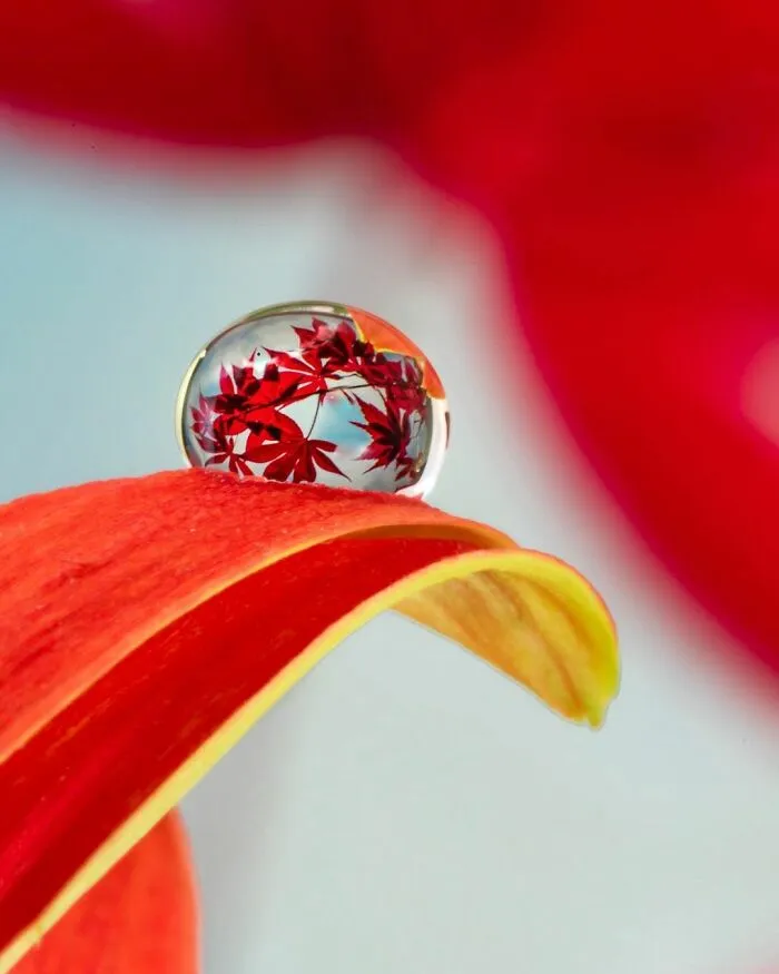 Photographer Gives A Glimpse Of How He Makes His Photos Using Water Droplet Techniques (88 Pics)