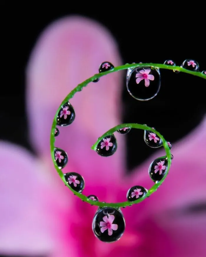 Photographer Gives A Glimpse Of How He Makes His Photos Using Water Droplet Techniques (88 Pics)