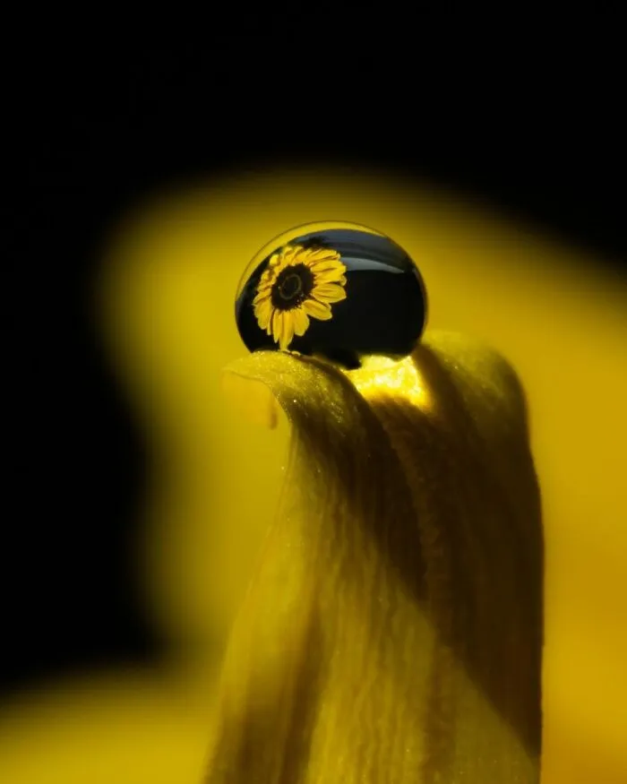 Photographer Gives A Glimpse Of How He Makes His Photos Using Water Droplet Techniques (88 Pics)