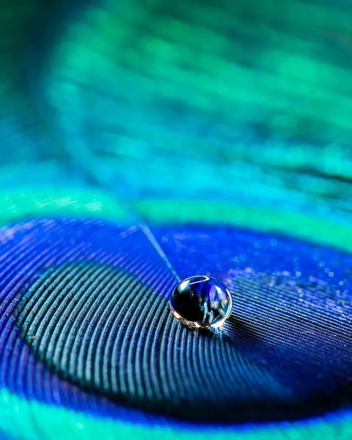 Photographer Gives A Glimpse Of How He Makes His Photos Using Water Droplet Techniques (88 Pics)