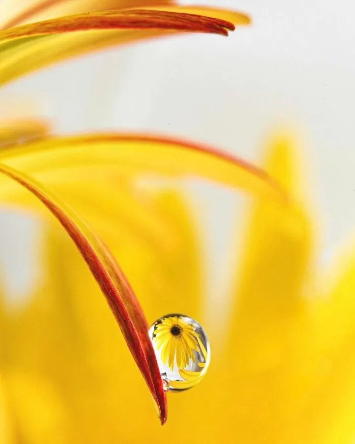 Photographer Gives A Glimpse Of How He Makes His Photos Using Water Droplet Techniques (88 Pics)