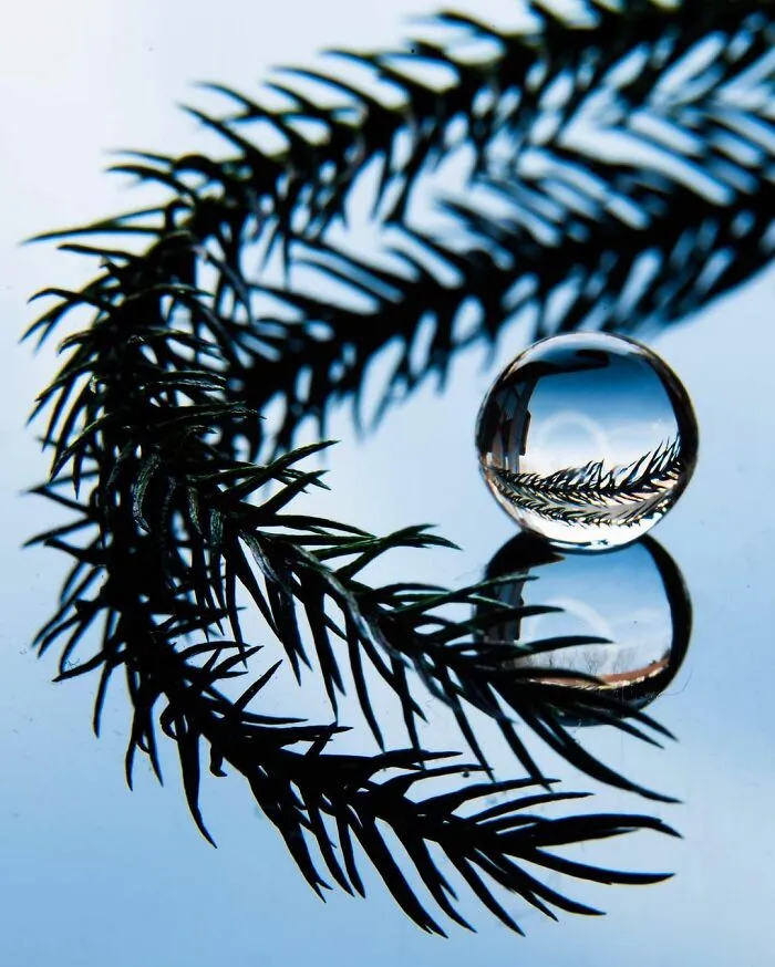 Photographer Gives A Glimpse Of How He Makes His Photos Using Water Droplet Techniques (88 Pics)