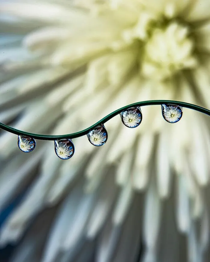 Photographer Gives A Glimpse Of How He Makes His Photos Using Water Droplet Techniques (88 Pics)