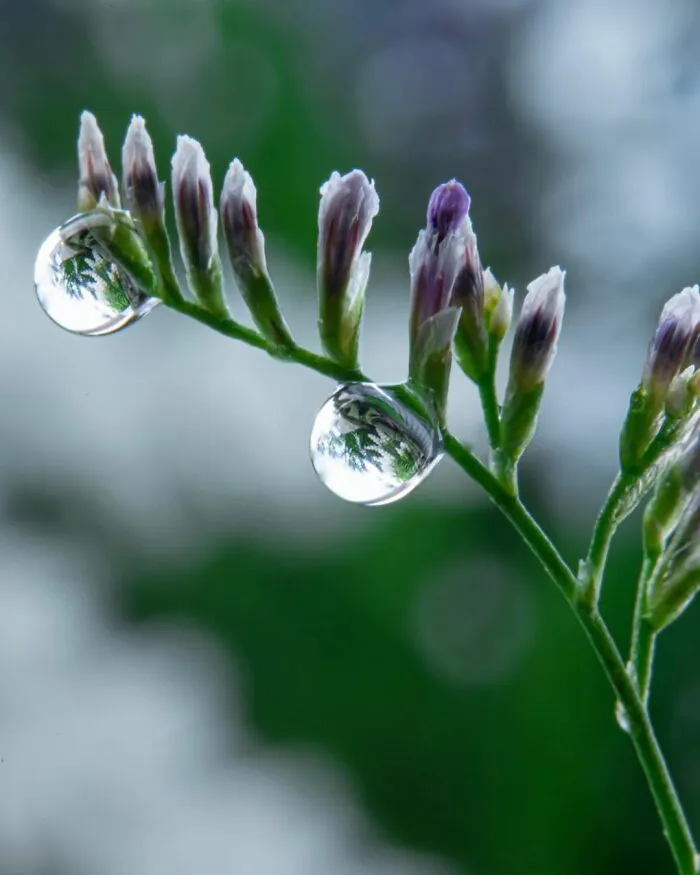 Photographer Gives A Glimpse Of How He Makes His Photos Using Water Droplet Techniques (88 Pics)