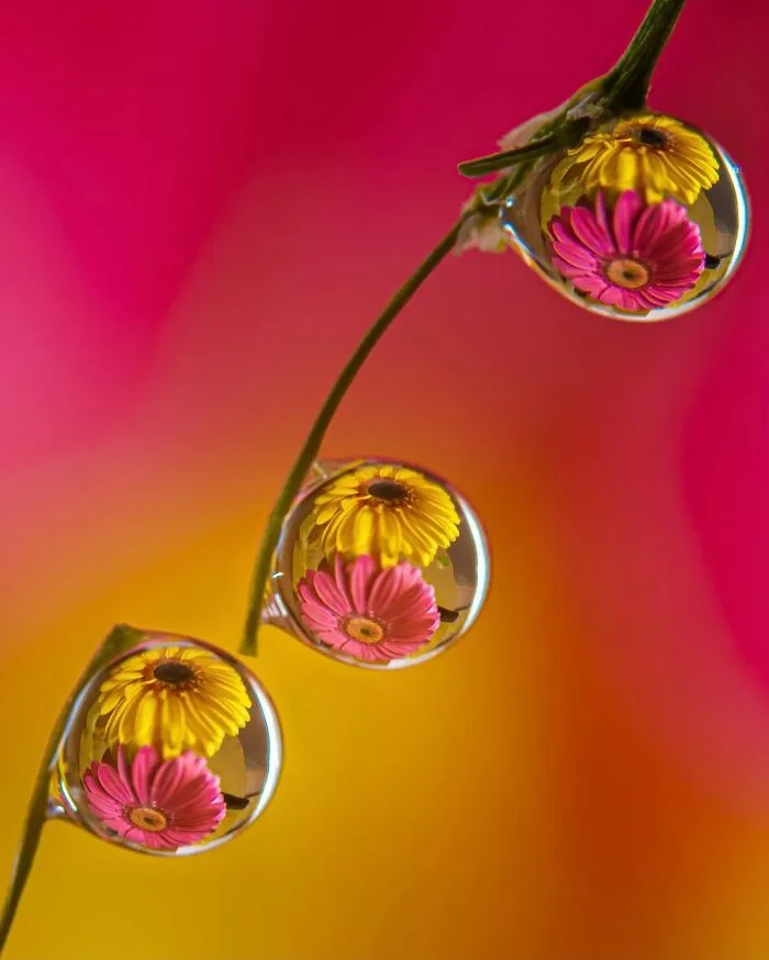 Photographer Gives A Glimpse Of How He Makes His Photos Using Water Droplet Techniques (88 Pics)