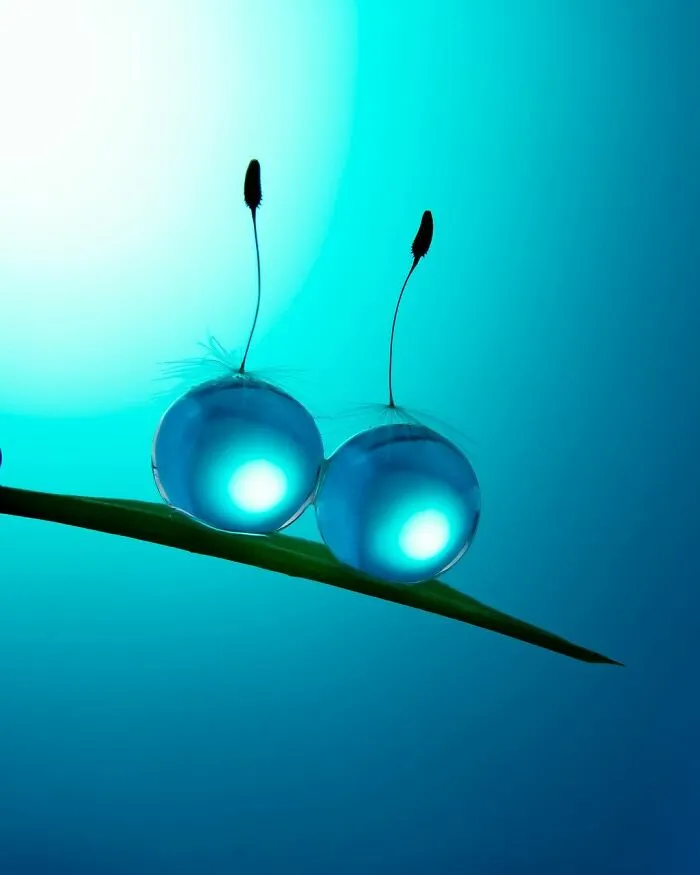 Photographer Gives A Glimpse Of How He Makes His Photos Using Water Droplet Techniques (88 Pics)