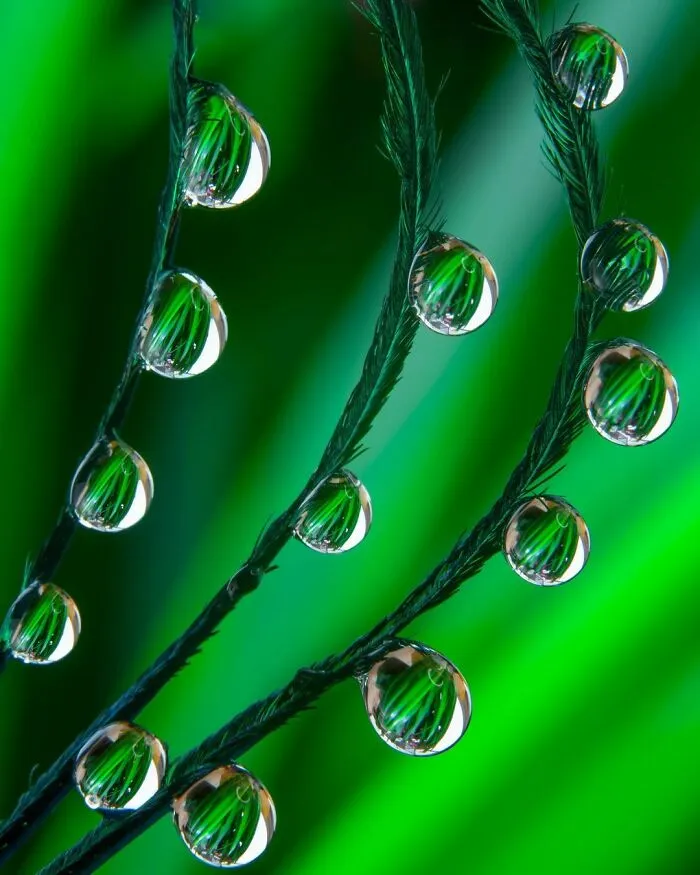 Photographer Gives A Glimpse Of How He Makes His Photos Using Water Droplet Techniques (88 Pics)
