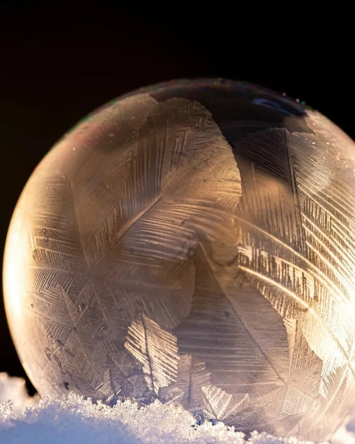 Photographer Gives A Glimpse Of How He Makes His Photos Using Water Droplet Techniques (88 Pics)