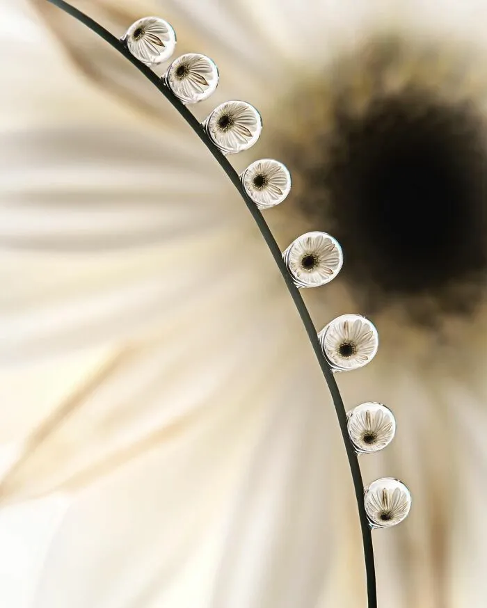 Photographer Gives A Glimpse Of How He Makes His Photos Using Water Droplet Techniques (88 Pics)