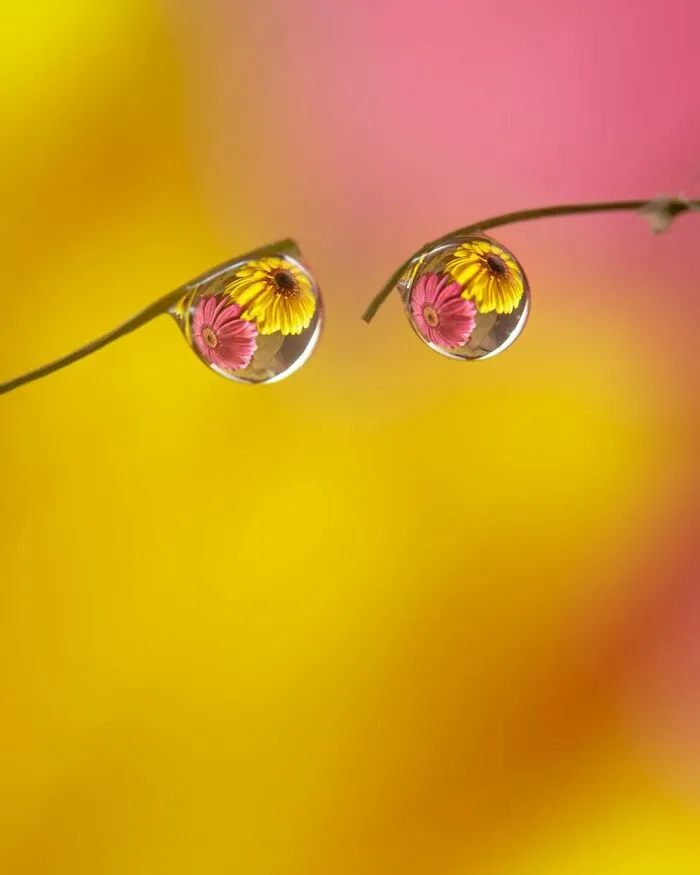 Photographer Gives A Glimpse Of How He Makes His Photos Using Water Droplet Techniques (88 Pics)