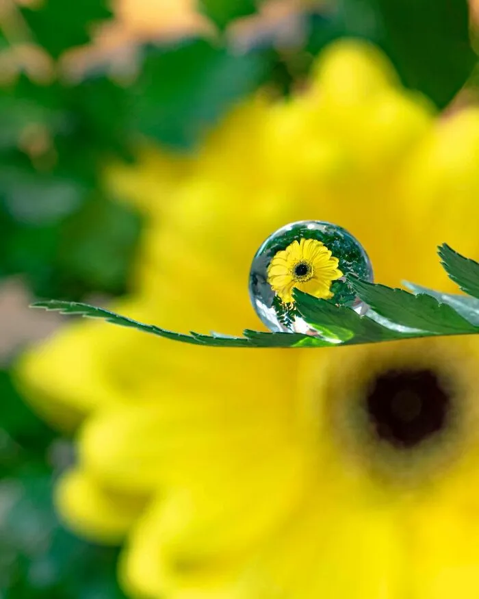 Photographer Gives A Glimpse Of How He Makes His Photos Using Water Droplet Techniques (88 Pics)