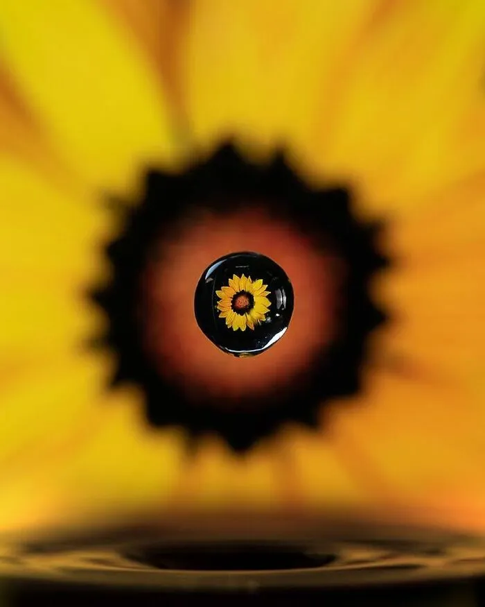 Photographer Gives A Glimpse Of How He Makes His Photos Using Water Droplet Techniques (88 Pics)