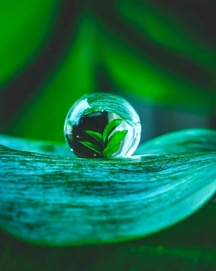 Photographer Gives A Glimpse Of How He Makes His Photos Using Water Droplet Techniques (88 Pics)