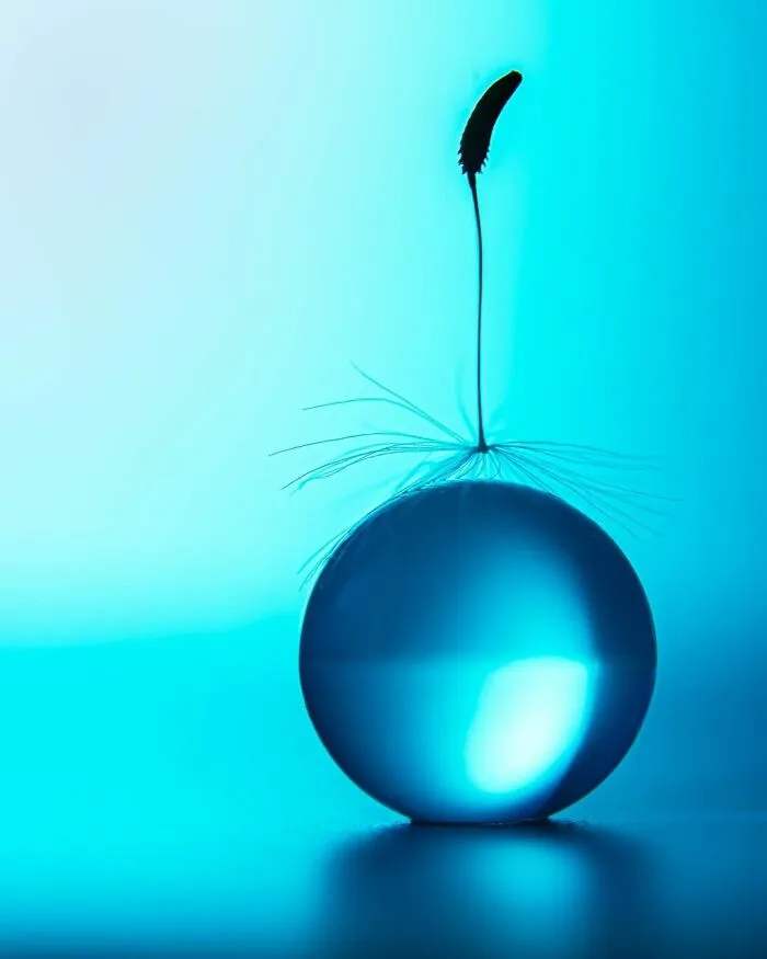 Photographer Gives A Glimpse Of How He Makes His Photos Using Water Droplet Techniques (88 Pics)