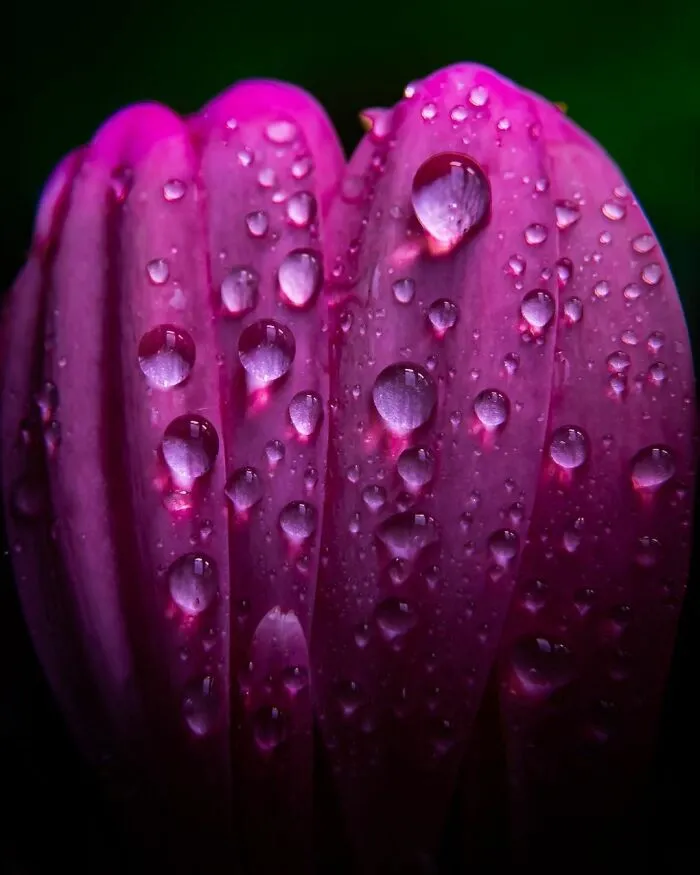 Photographer Gives A Glimpse Of How He Makes His Photos Using Water Droplet Techniques (88 Pics)