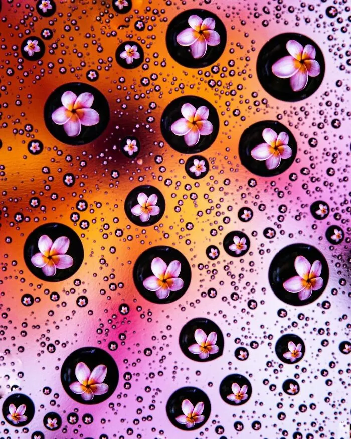 Photographer Gives A Glimpse Of How He Makes His Photos Using Water Droplet Techniques (88 Pics)