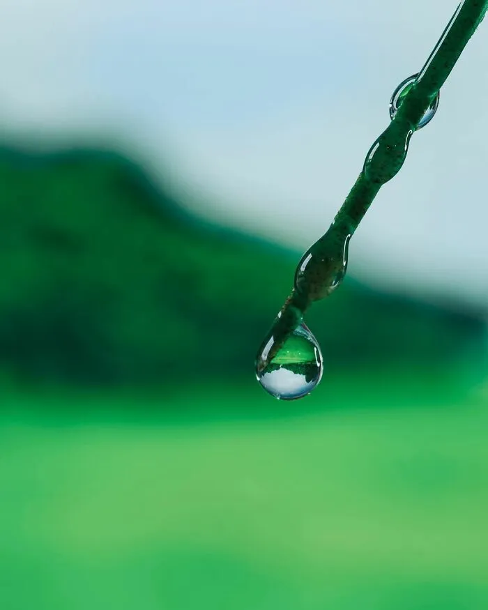 Photographer Gives A Glimpse Of How He Makes His Photos Using Water Droplet Techniques (88 Pics)