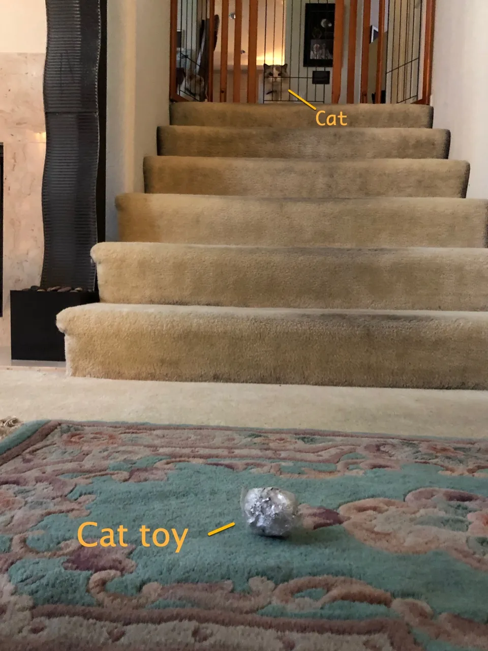 Pictures Of Cat That Looked Like They Were Staged, But Aren't
