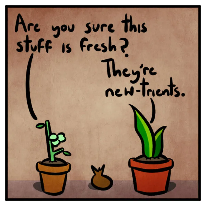I Make One Panel Comics Starring A Snake And Goose Plants, And Here Are 16 Of My Best Works