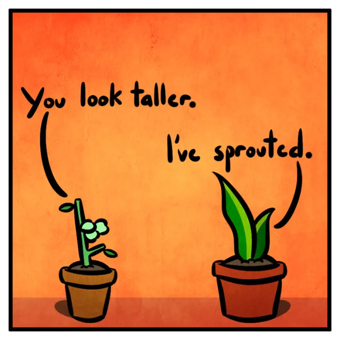I Make One Panel Comics Starring A Snake And Goose Plants, And Here Are 16 Of My Best Works