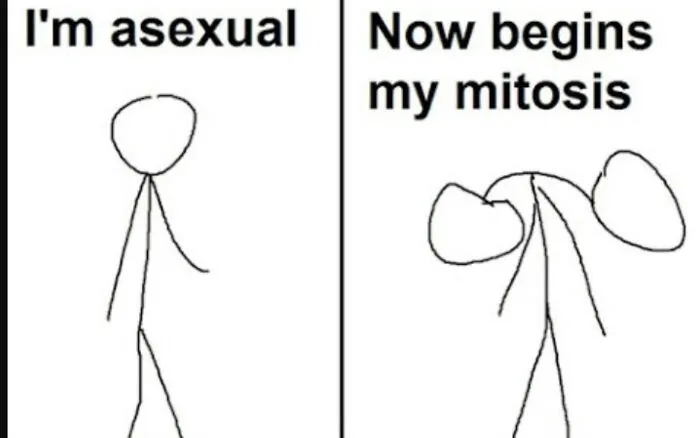 Me Funni (Pls Don't Mind Me)