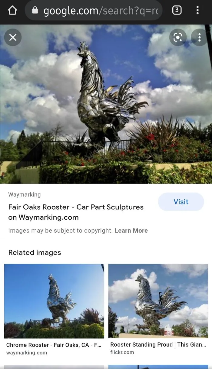 I Don't Have A Picture That I Took But This Is A Statue Of A Chicken In Front Of My Fair Oaks Safeway