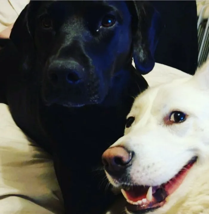 Posers