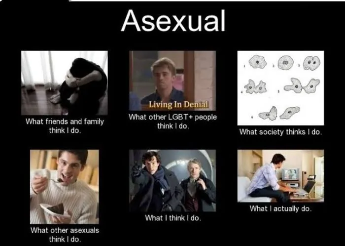 I'm Backk And I Got More Ace Memes
