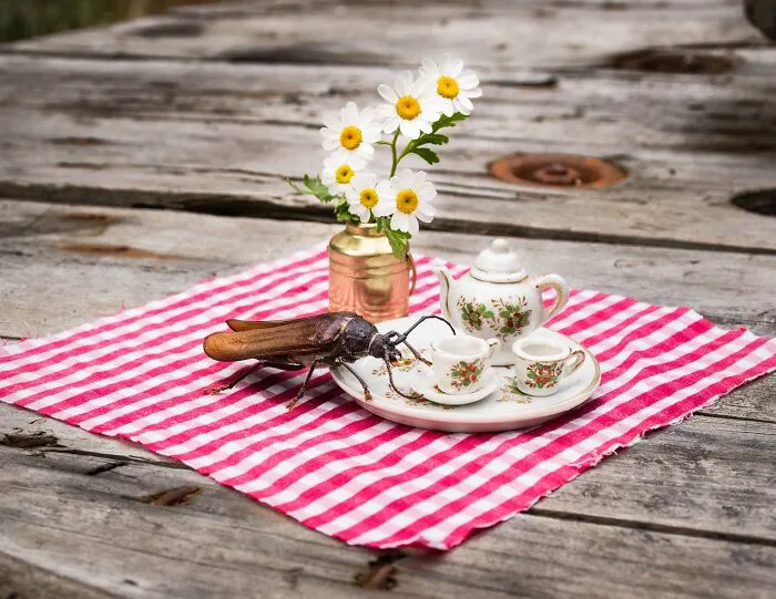 I Have Fun And Magical Tea Parties With All Kinds Of Animals (14 New Pics)