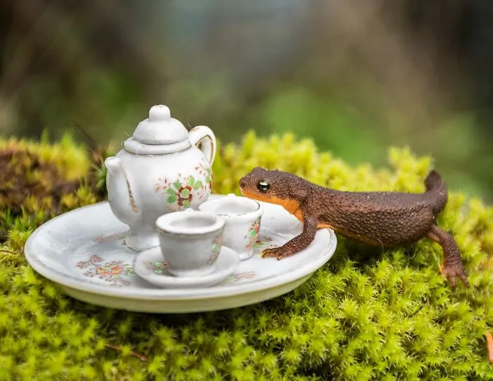 I Have Fun And Magical Tea Parties With All Kinds Of Animals (14 New Pics)