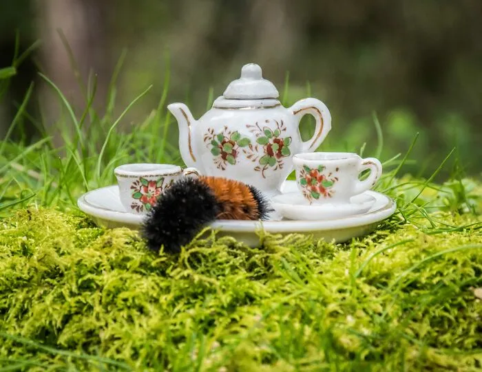 I Have Fun And Magical Tea Parties With All Kinds Of Animals (14 New Pics)