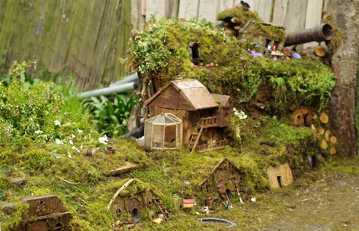 As You Can See, The Mice Have Many Homes Even A Network Of Tubes At The Back So They Can Move Around The Garden In Safety